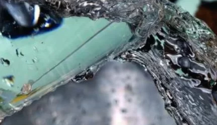 Neringos vanduo nekenkia sveikatai