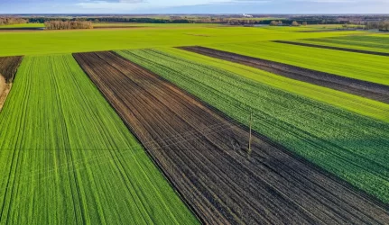 Niekas nebeperka valstybinių sklypų