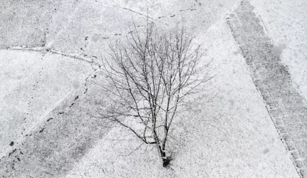 Pirmojo sniego gausa – rūpestis gatvių ir kelių prižiūrėtojams