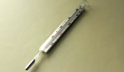 Prie šiukšlių konteinerio – įskilę termometrai