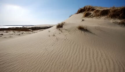 Draudimas statyti ant kopų