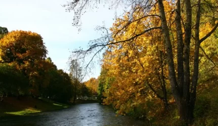 Vilnios pakrančių tvarkymas