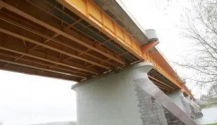 Vilijampolės tiltui prašoma suteikti Petro Vileišio vardą