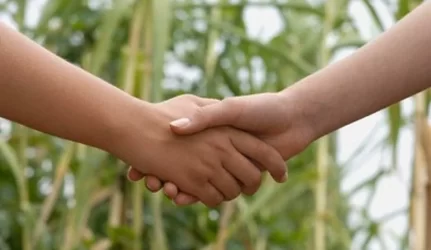 Būstų mainai vėl populiarėja