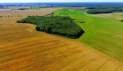 K. Starkevičius ieškos būdų, kaip baigti žemės reformą