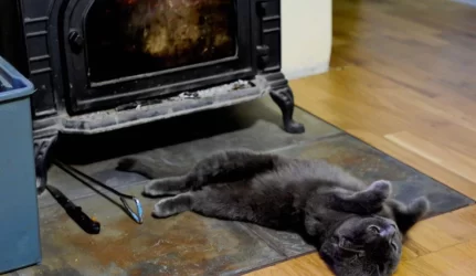 Kauniečiai brangiau už šildymą mokės nuo sausio