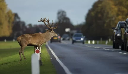 Kelininkai įspėja vairuotojus būti budrius