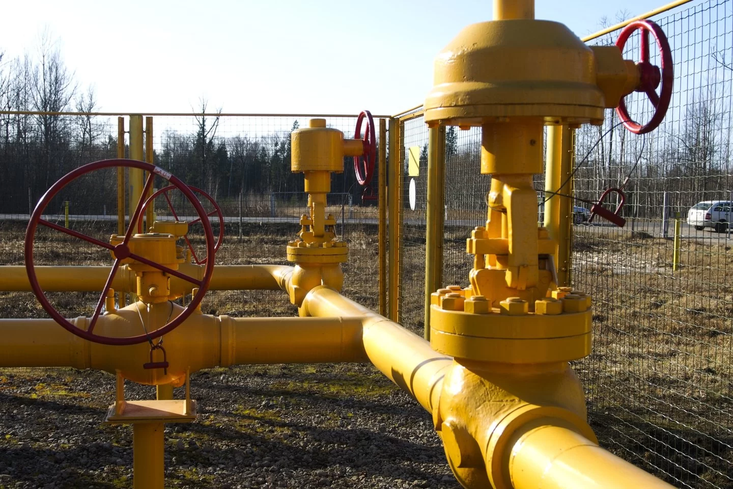 dujų OPEC
