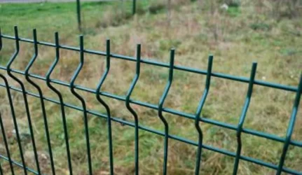 Ministerija: Laurų kvartalo miškas užimtas neteisėtai