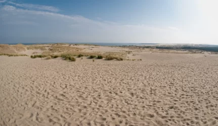 Raginama atidžiau tvarkyti Saugomų teritorijų valstybės kadastrą