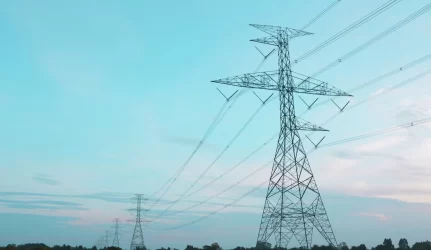 Š. Birutis: “Lietuva privalo siekti bendro elektros tinklo, o ne tempti paklodę į savo pusę”