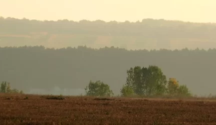 Sausio aukcione – vienas žemės sklypas