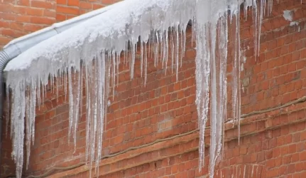 Statinių priežiūra žiemą