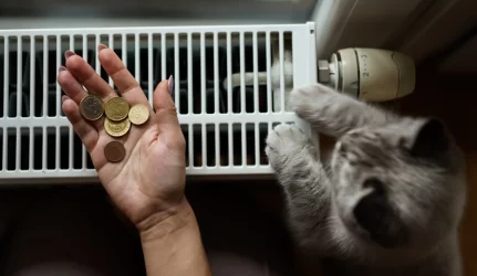 Už šilumą – gerokai brangiau