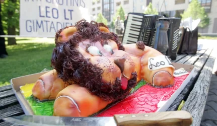 Energetikos “liūtas” narstomas po kaulelį