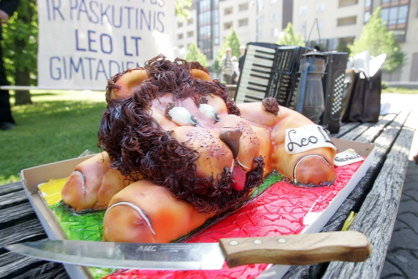 Energetikos “liūtas” narstomas po kaulelį