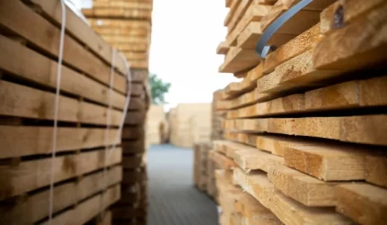 Medienos įmonės kviečiamos į Dubajų