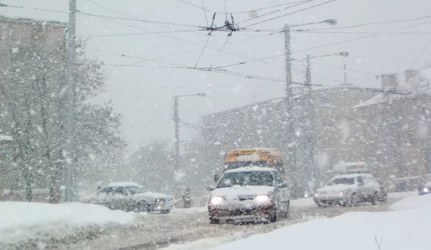 Pūga pažadino statybų prievaizdus