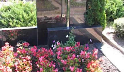 Vertybių statusas objektams