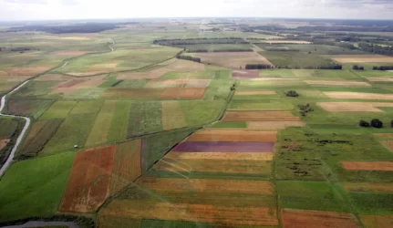 Žemėtvarkininkė springsta svetima žeme