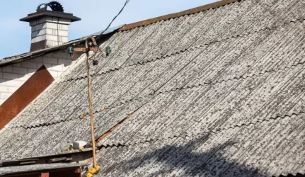 Asbesto poveikiui – didesnis dėmesys