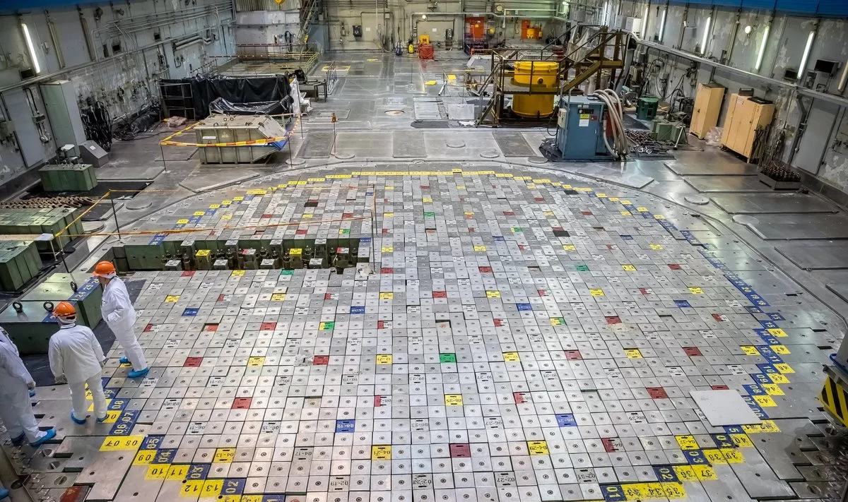 Dėl Ignalinos AE uždarymo vėl ginčijamasi