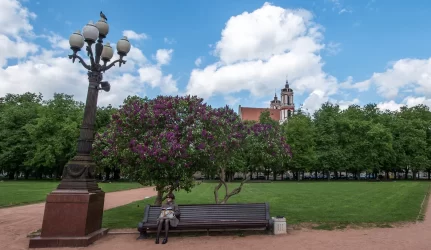 Dėl Lukiškių siūlo kol kas nepriimti galutinio sprendimo