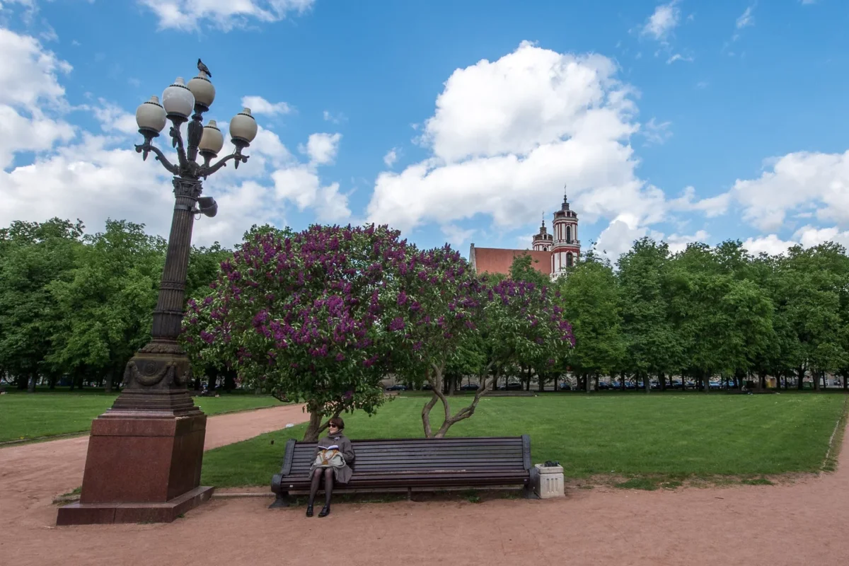 Dėl Lukiškių siūlo kol kas nepriimti galutinio sprendimo