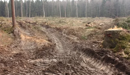Doviliškiai miške kasti smėlio neleis