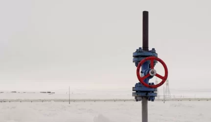 Dujininkų užnugaris