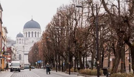 Kaune mažėja samdomų gyvenamosios aplinkos tvarkytojų