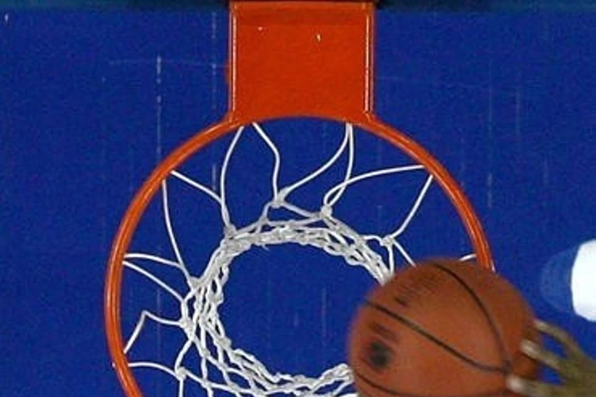 Palangos arena
