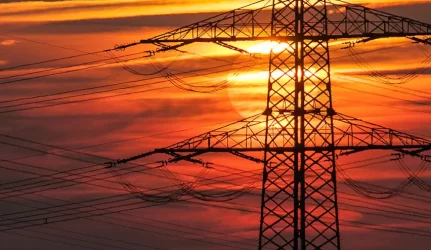 Valdantieji taisys Elektros energetikos įstatymą