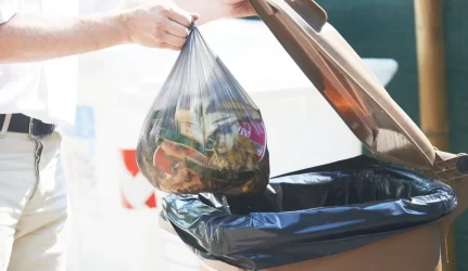 A. Spruogis: už neišvežtas šiukšles mokėti nereikia