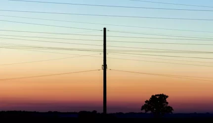 Elektros energijos kainos kitąmet augs mažiau