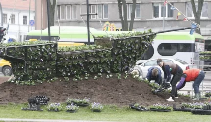 Klaipėdą puoš mažiau gėlynų