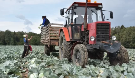 Lietuviai generuoja mažiau šiukšlių nei vidutiniškai ES, tačiau didžiąją jų dalį užkasa į žemę