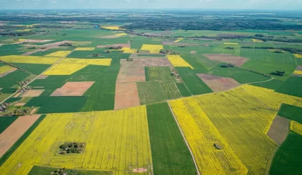 Lietuvoje laisvos valstybinės žemės pakanka, teigia valstybės kontrolė