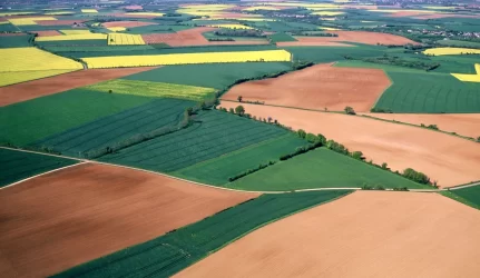 Ministras užsimojo stabdyti žemės reformą