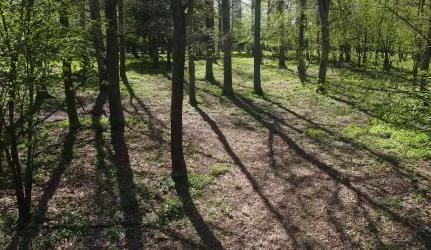 Saugomos teritorijos reikalavimai