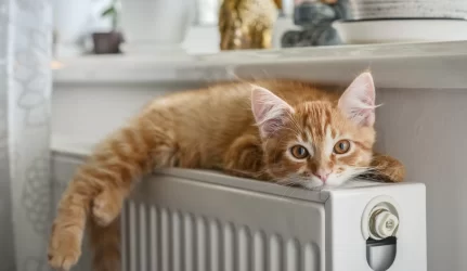 Pigesni šildymo būdai