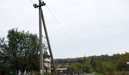 Elektrikai ragina vartotojus genėti želdinius