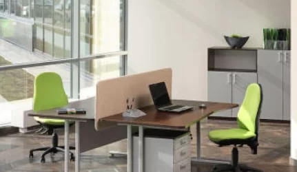 Antikrizinė darbo vieta