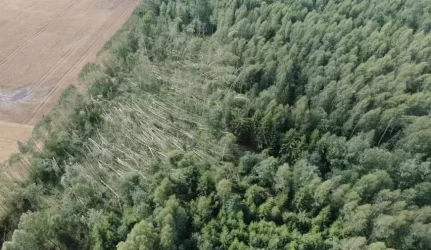Siekiama apginti miškų savininkų interesus