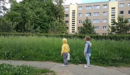 Daugiabučių kiemų priežiūra