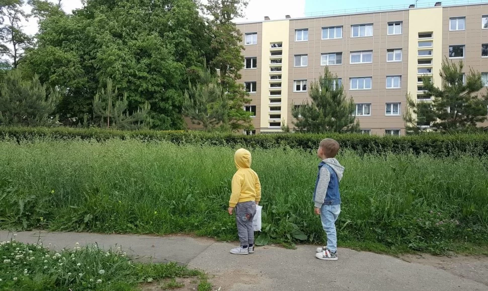 Daugiabučių kiemų priežiūra