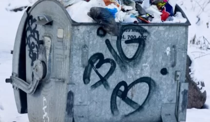 Rinkliavos už šiukšles