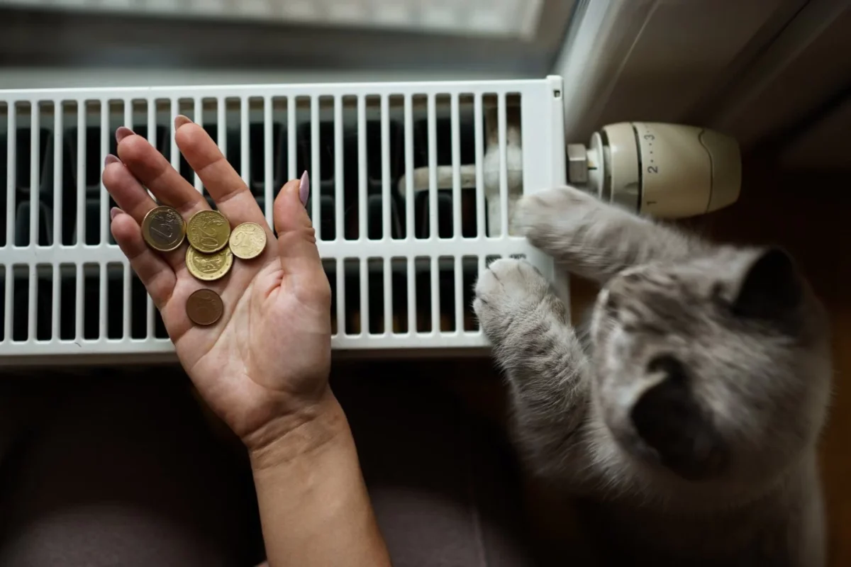 Vilniuje baigiamas šildymo sezonas