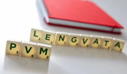 PVM šildymo lengvata