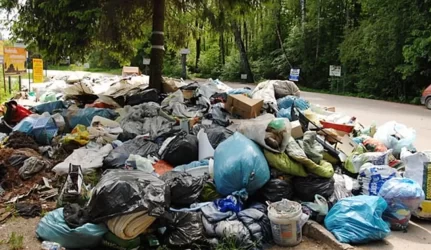 Klaipėdos raj šiukšlės